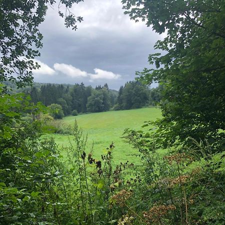 Ferienwohnung Waldruhe Hessisch Oldendorf Eksteriør bilde